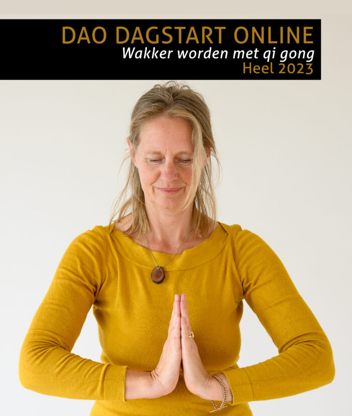 Dao Dagstart - heel 2023 (aanbieding)