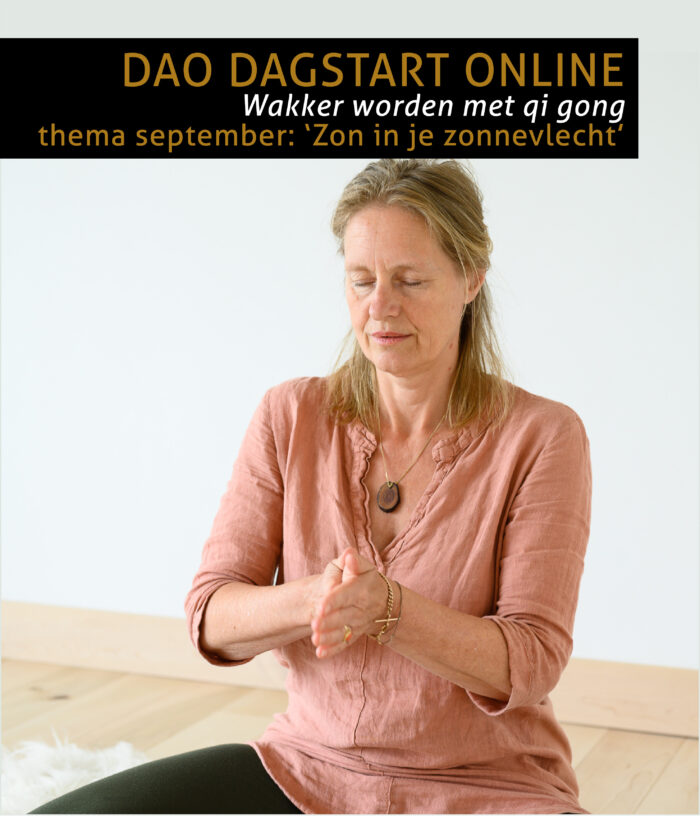 Dao Dagstart - 4 sept tm 28 september 2023 | Zon in je zonnevlecht