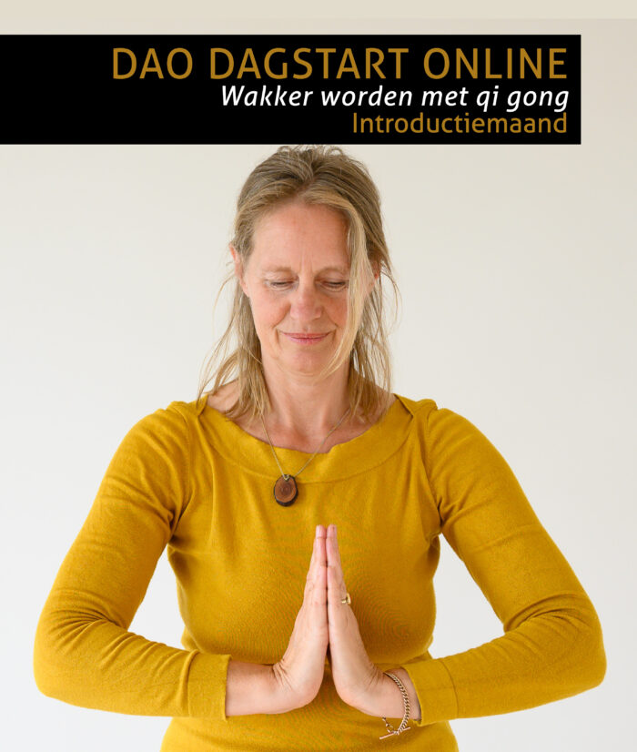 Dao Dagstart - Introductiemaand